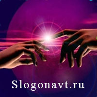 Контакт