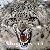 Оскал