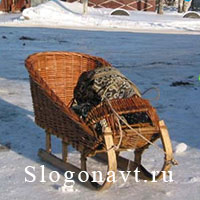 Салазки