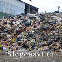 Помойка