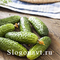 Огурец