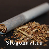 Папироса