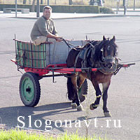 Повозка