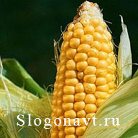 Початок