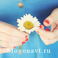 Ромашка