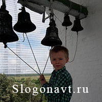 Звонарь