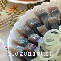 Селёдка