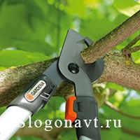 Секатор