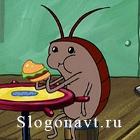 Таракан