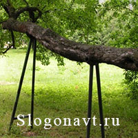 Подпорка