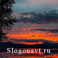 Сумерки