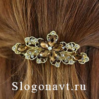 Заколка