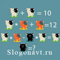 Загадка